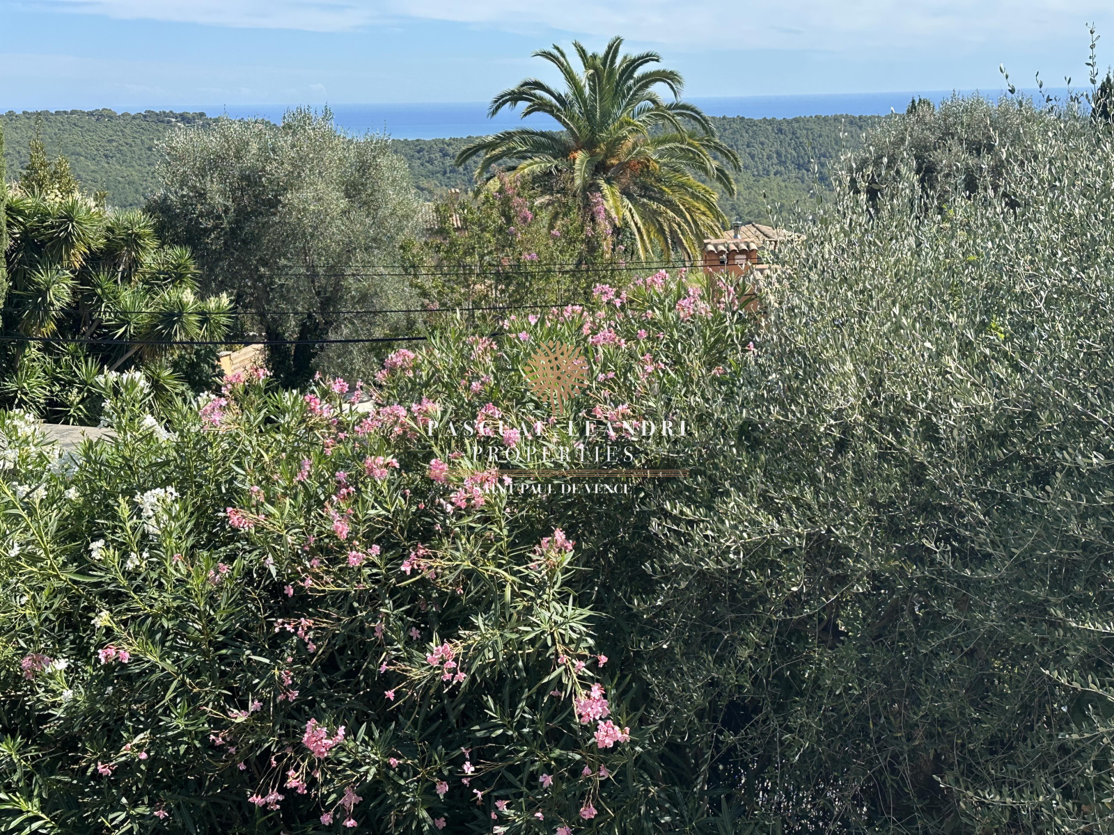 Image_, Villa, Tourrettes-sur-Loup, ref :10465