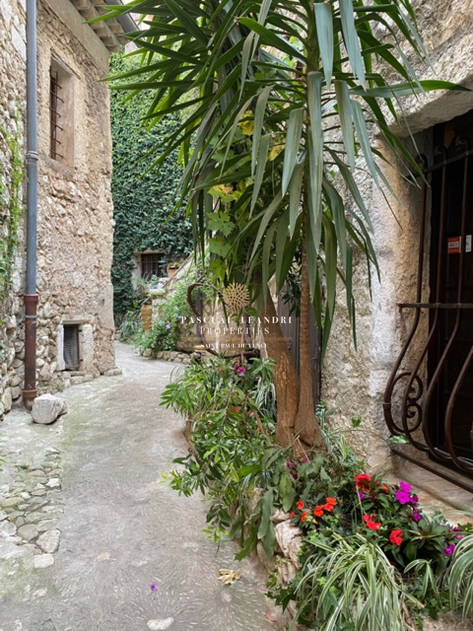 Image_, Maison, Saint-Paul-de-Vence, ref :10453