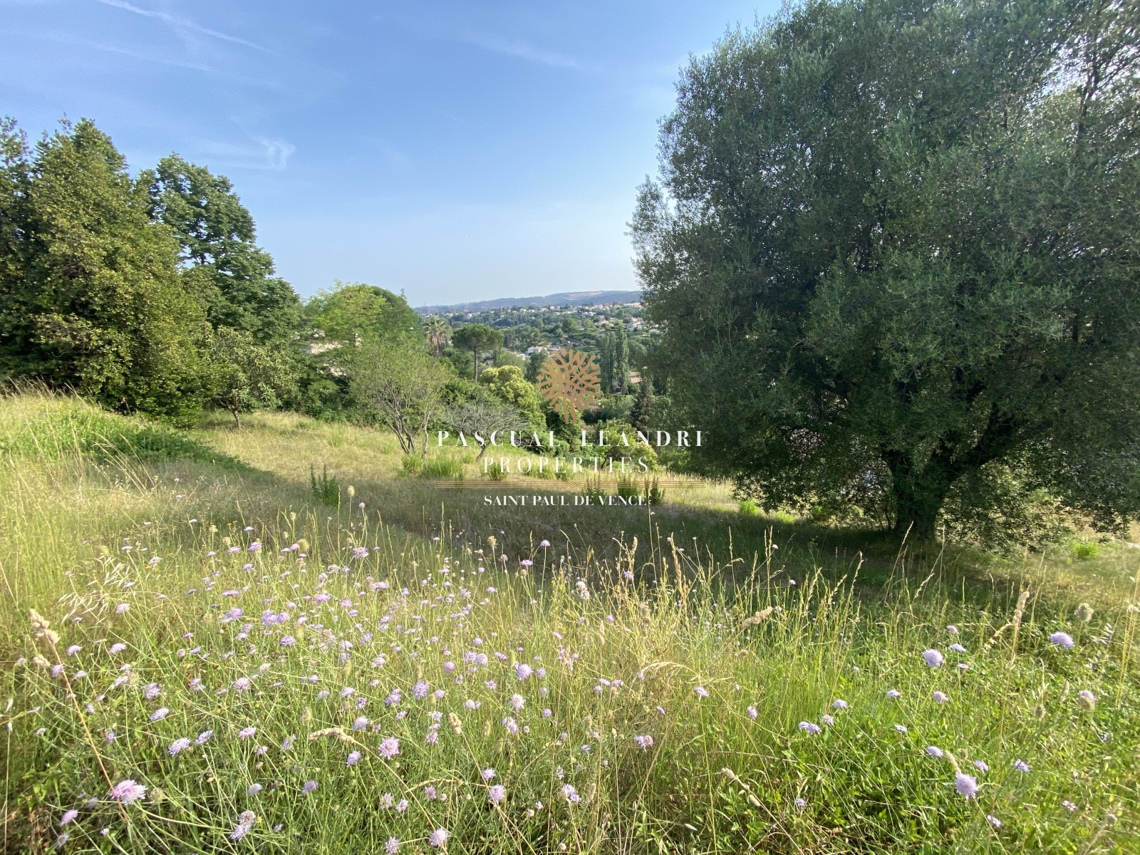 Image_, Terrain, Saint-Paul-de-Vence, ref :10222